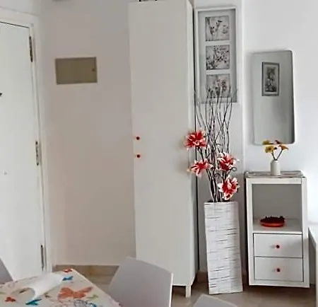 Orange 3*